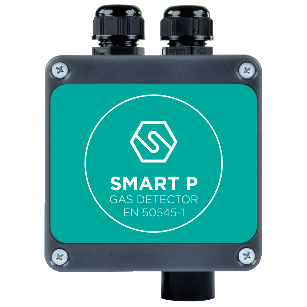 SMART P 1