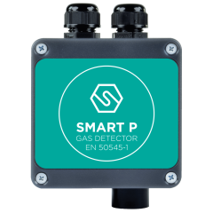 SMART P 1
